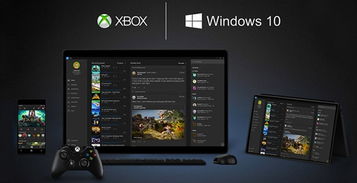 xbox升级游戏,畅享全新视觉盛宴与极致操控快感