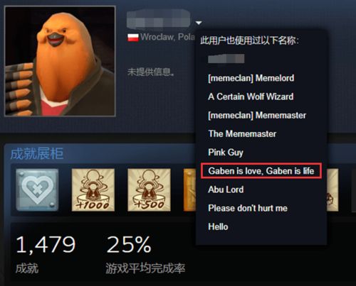 游戏老外聊天,老外游戏聊天中的文化交流与碰撞