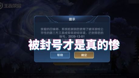 毁掉游戏账号,游戏世界中的悲剧与反思