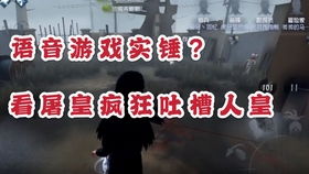 锤某人游戏,揭秘锤某人游戏的欢乐与智慧