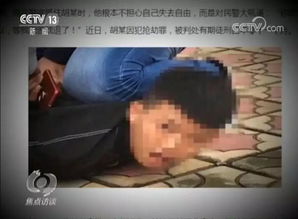 汤某游戏,探索虚拟世界的奇幻之旅
