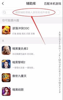 歌手游戏辅助,带你畅游音乐世界