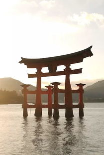 宫岛游戏,探索奇幻岛屿的冒险之旅