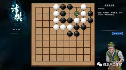 围棋情节游戏,围棋传奇之旅