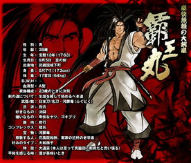 侍魂闪游戏,传奇再续