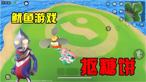 鱿小鱼游戏,挑战极限的冒险之旅