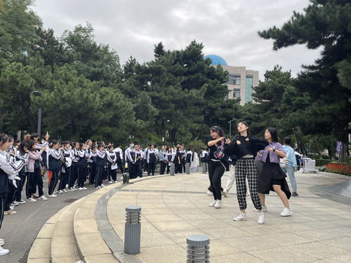 沙包游戏社团,传承与创新中的校园活力展现