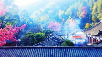 去大理游戏,一场游戏中的奇幻之旅