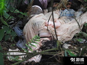 处理女尸游戏,女尸之谜的惊悚解密之旅