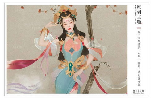 盘子夫人游戏,穿越时空的美食冒险之旅