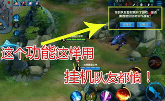 游戏谐音招牌,谐音招牌下的游戏奇缘