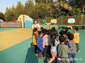 卷心菜游戏小班,小班萌娃的欢乐冒险之旅