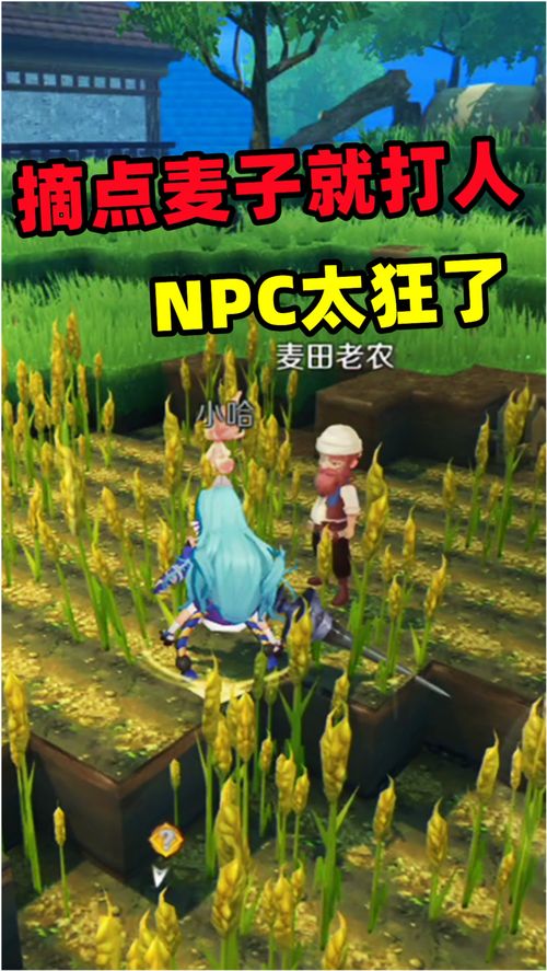 小麦打游戏,电竞战场上的麦田守望者