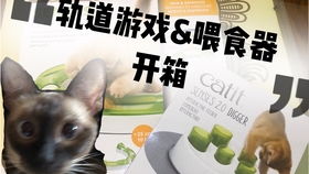 暹罗的游戏,解锁神秘游戏之谜