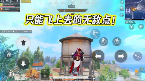 和平进行游戏,探索和谐共生的虚拟世界