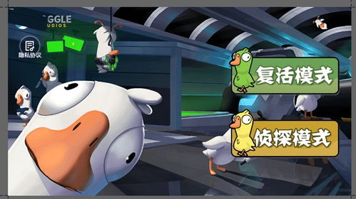 鸭鹅游戏,欢乐无限