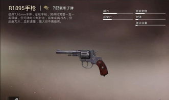 弹弹枪游戏,挑战极限的竞技之旅