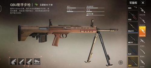 枪械合集游戏,领略射击艺术之旅