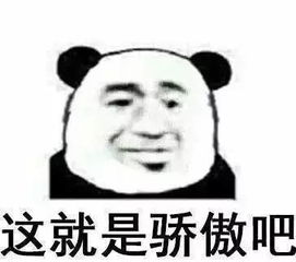 废话的游戏,一场充满幽默与智慧的趣味游戏之旅