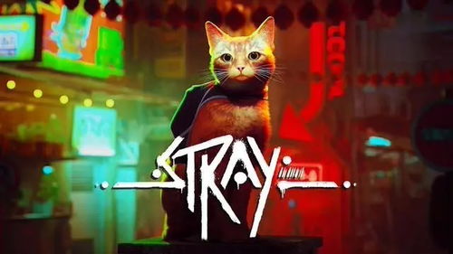 stray类游戏,跟随流浪者踏上奇幻冒险之旅