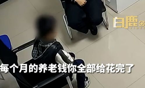 养老游戏男生,男生体验晚年生活的奇幻旅程