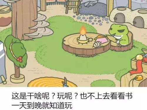 青蛙耍游戏,畅游虚拟世界