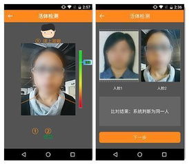 假实名游戏,虚拟世界中的真实身份之谜