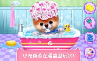 小布小铺游戏,趣味市集探险之旅