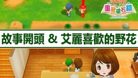 教学经验游戏,探索游戏化教学的有效策略与实践案例