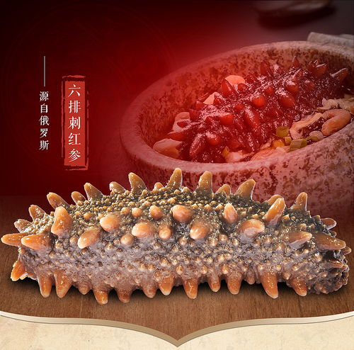 美味海参游戏,游戏中的海洋珍馐体验
