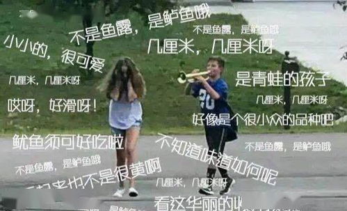 炒菜游戏反思,烹饪艺术与人生哲理的碰撞
