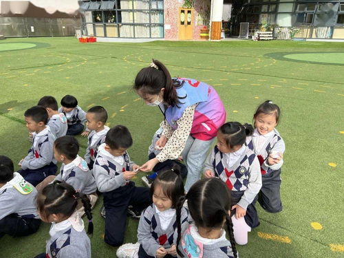 小班社区游戏,互动成长之旅