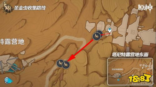黄金虫子游戏,探险寻宝的奇幻之旅