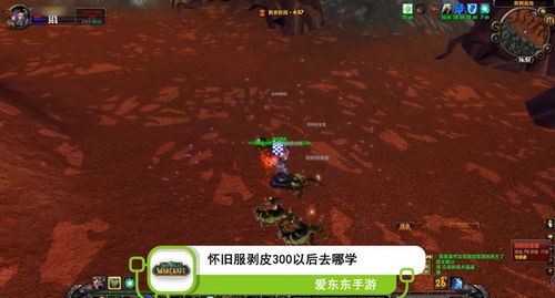 游戏被剥皮,揭秘虚拟世界中的真实生存法则