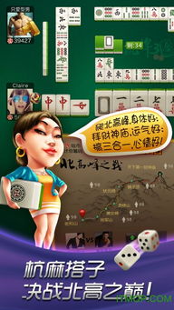 牌狗游戏,一场智慧与运气的精彩对决