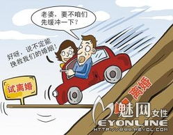 试离婚游戏,探索情感修复之旅