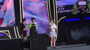 子逸游戏,探索虚拟世界的奇幻之旅