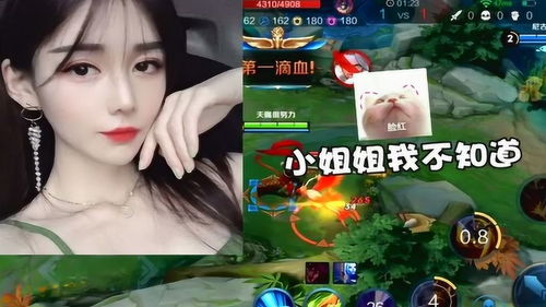 打姐游戏,揭秘校园里的欢乐竞技场