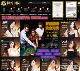 视讯游戏直营,引领数字娱乐新潮流