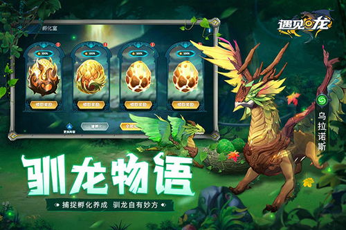 龙遇游戏,探索未知世界的奇幻之旅
