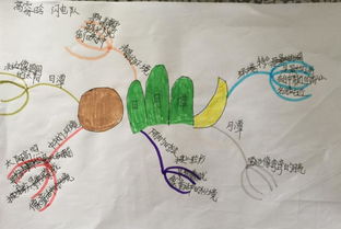 思维问答游戏,揭秘思维问答游戏的奥秘