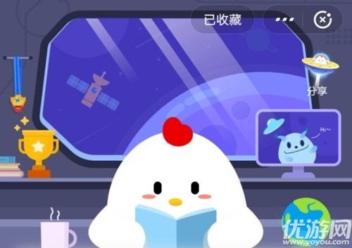 看鲍鱼游戏,一场惊心动魄的生存挑战