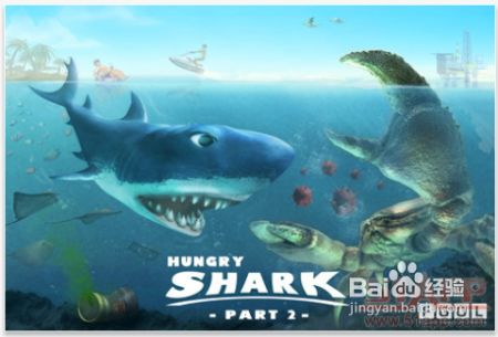 鲨鱼游戏吗,深海生存的惊心动魄冒险之旅