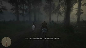 追逐剧情游戏,命运之轮的逆袭