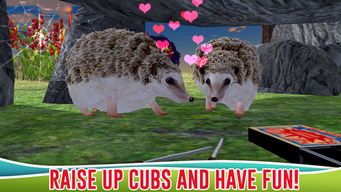 刺猬摇游戏,挑战你的反应极限