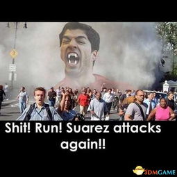 咬人豆游戏,趣味横生的冒险之旅