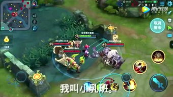 核桃钻洞游戏,挑战智慧与耐心的趣味游戏体验