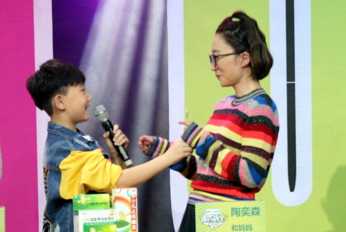 刘柯游戏,探索虚拟世界的奇幻之旅