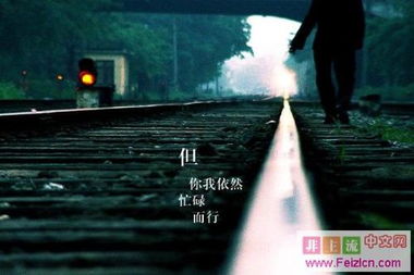 落寂游戏,探寻心灵深处的孤独之旅