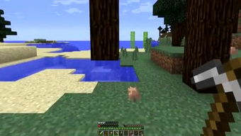 小玉米游戏,畅享欢乐时光